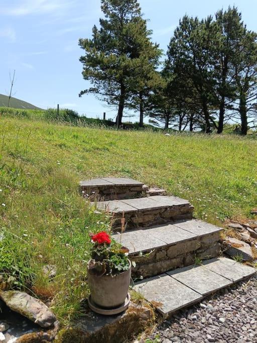 Dingle Escape -2 Bed -Sleeps 4 Apartman Kültér fotó