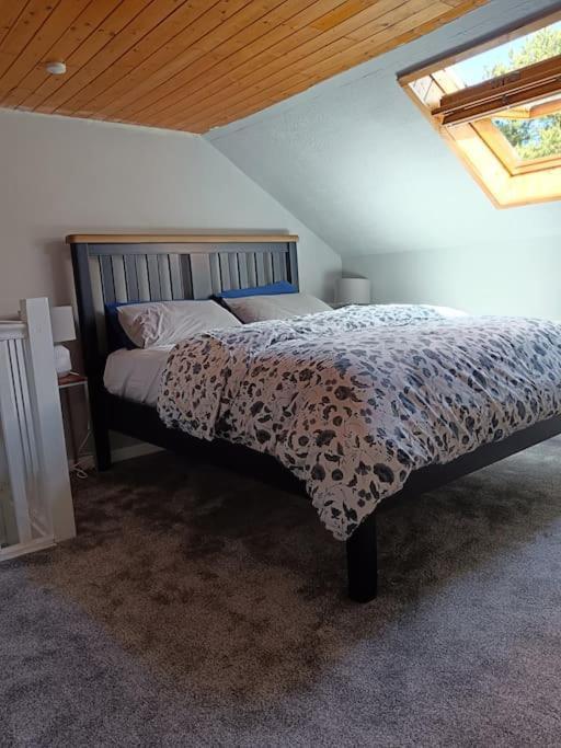 Dingle Escape -2 Bed -Sleeps 4 Apartman Kültér fotó